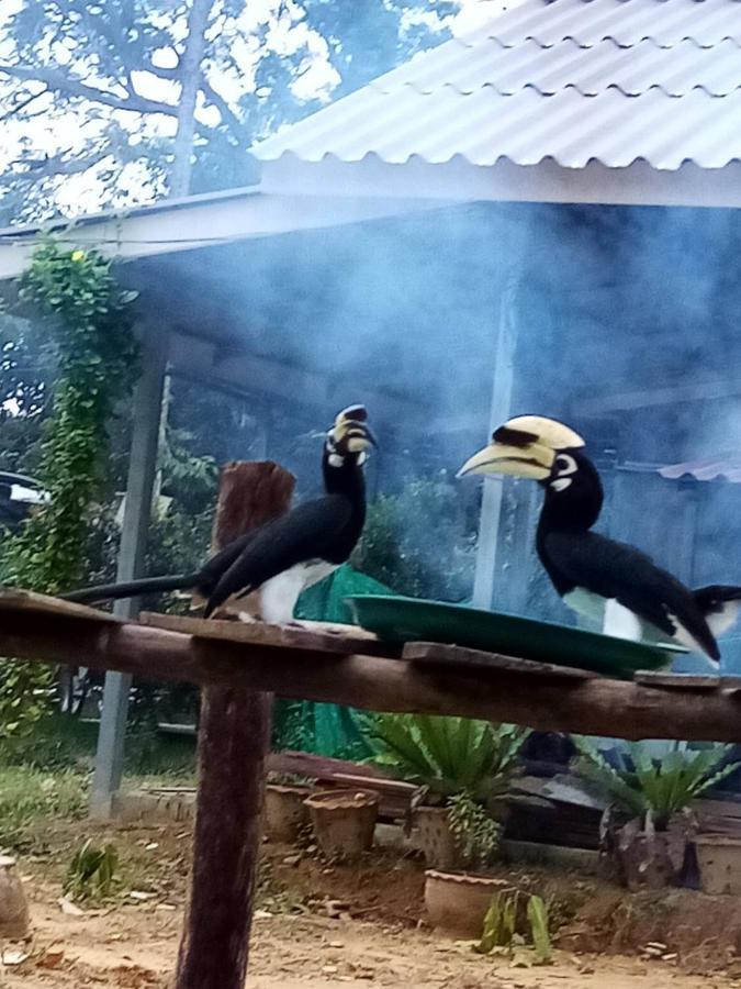 Eco Bungalow Koh Phayam Exteriér fotografie