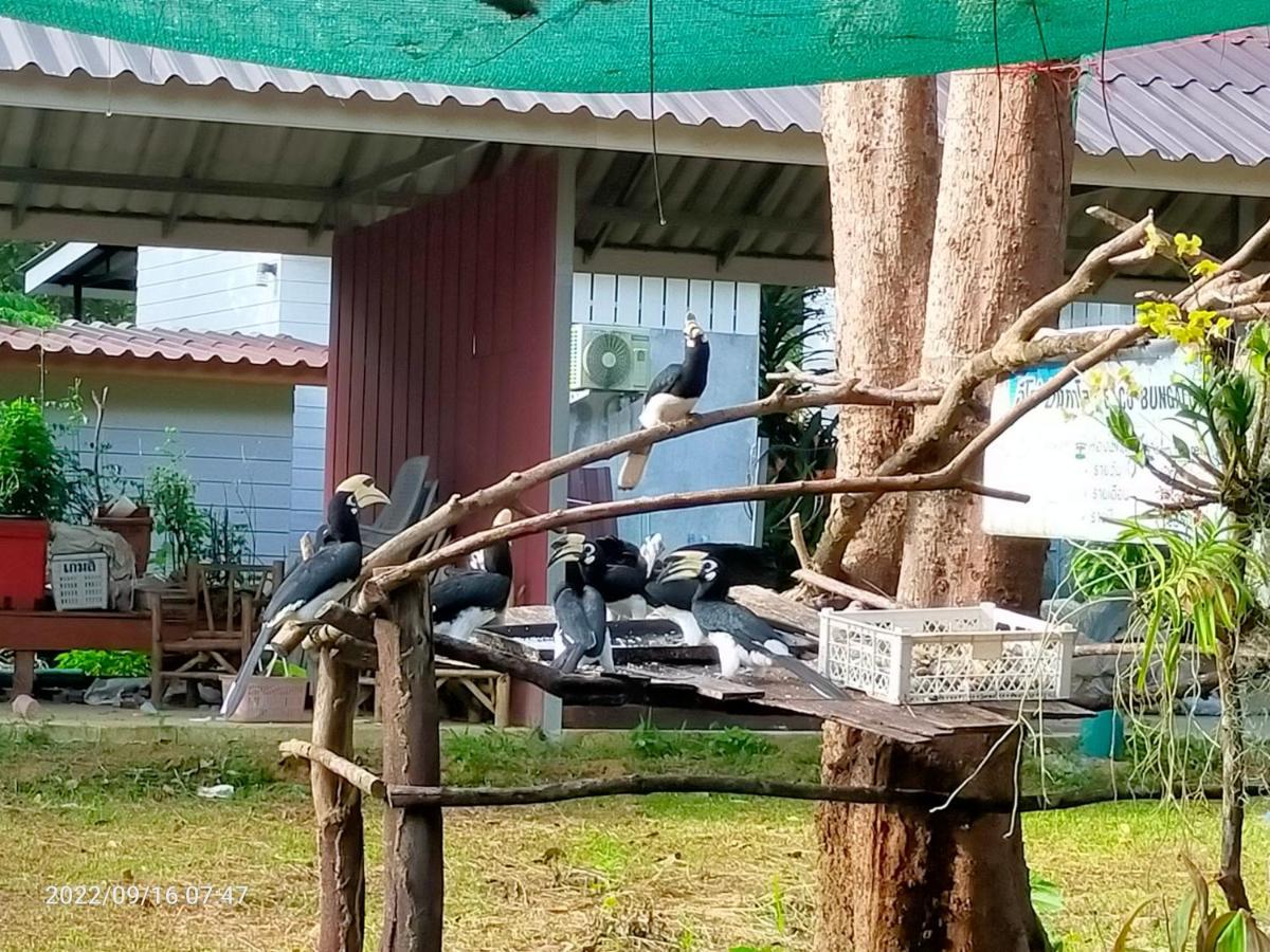 Eco Bungalow Koh Phayam Exteriér fotografie