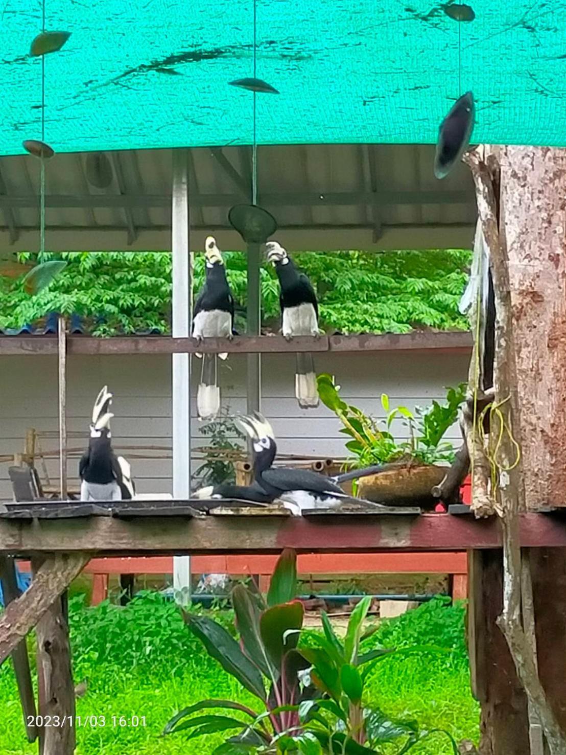 Eco Bungalow Koh Phayam Exteriér fotografie