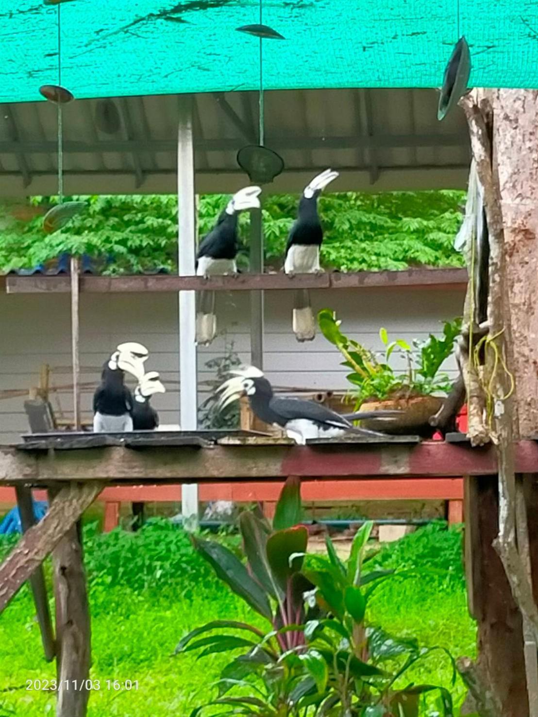 Eco Bungalow Koh Phayam Exteriér fotografie